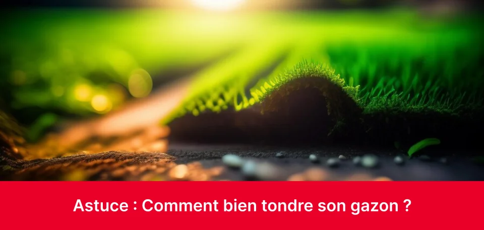 Comment bien tondre son gazon ?