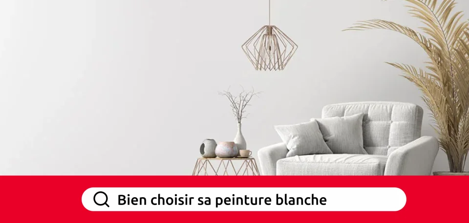 Bien choisir sa peinture blanche